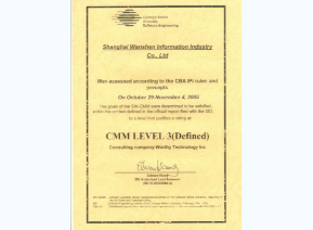 CMM LEVEL 3